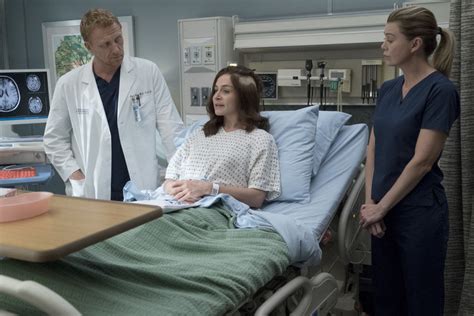 Анатомия страсти (Grey s Anatomy) 14 сезон
 2024.04.20 13:25